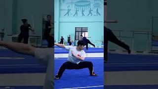 Du Hong Ji/Wushu Taolu/Nanquan #wushutaolu #wushu #nanquan