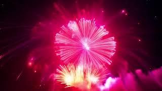 Neon Lights fireworks display Romantic Abstract Glow Particles 4K Moving Wallpaper Background