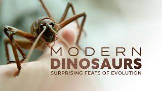 Modern Dinosaurs: Island Giants