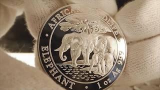 Серебряная монета 2013 Somalia 1 oz Silver Elephant coin BU