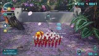 How to destroy the cement block in Blossoming Arcadia | Pikmin 4