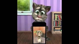 Talking Tom