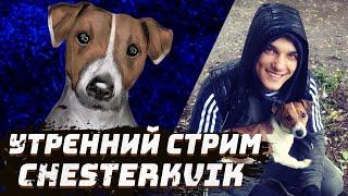 Kvik DoG в Эфире  «Прогулка с Честером и Каспером»