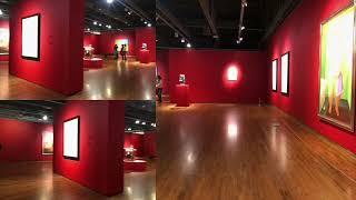 Museum of Latin American Art (Long Beach, California 2023)