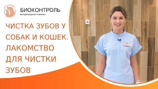 🪥 Чистка зубов у собак и кошек, как выбрать лакомства для чистки зубов? Лакомства для чистки зубов.