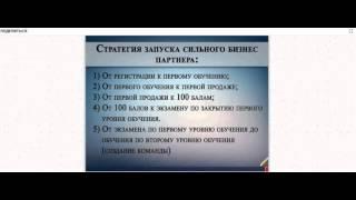 Д. Орлов. Часть 2 "Стратегия запуска бизнес-партнера"