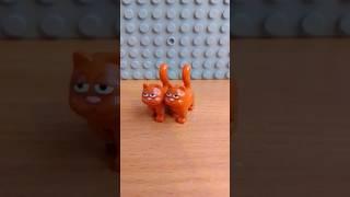 Where to buy a red cat ? . #orangecat