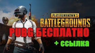 PUBG рабочая пиратка + ссылка на скачивание