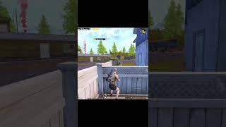 Real Pro Max Bot 