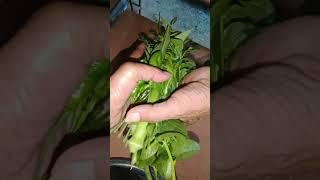 #i remember this story#looking #Maria Ansay Vlog
