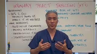 URINARY Tract Infections---Forgotten Details and Supplements