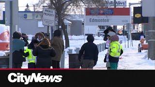 End of Canada Post strike too late for some small businesses