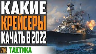 ОБЗОР ВЕТОК КРЕЙСЕРОВ!  КАКИЕ КРЕЙСЕРЫ ЛУЧШЕ КАЧАТЬ  World of Warships