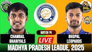 LIVE: Chambal Ghariyals vs Bhopal Leopards | Madhya Pradesh League | Live Score & Updates