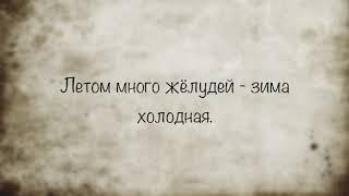 Старинные народные приметы