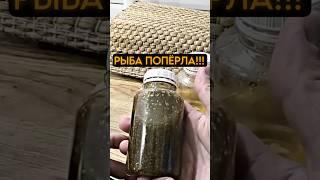 Налил в прикормку пару капель и дело пошло #рыбалка #carpfishing #карась