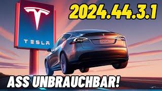 Tesla Software Update 2024.44.3.1: ASS unbrauchbar! 160 KM Fahrt - Stromverbrauch im Winter?