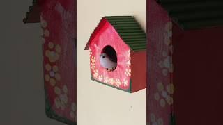 bird home #shorts #viral #trending #birdhouse #cardboard #wastematerialcraft #youtubeshorts #craft