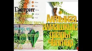 АЛТЫНГА АЛМАШКЫС ДАРЫ ЧӨПТӨР