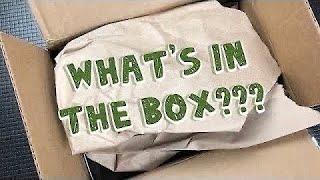 What’s in the Box??? (From Oden Customs)