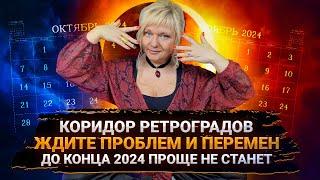 Прогноз до конца 2024 I Парад ретроградных планет I Шоковая терапия перед 2025