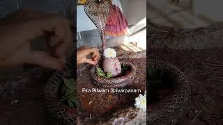 Tridalam, trigunakarm,trinetram cha triyayudham, trijanma paap samharm ek Bilwam Shivarpanam #shiva