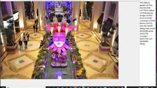 Time Travel in Brian AI - Image Processing Artificial Intelligence Framework