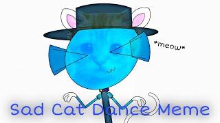 Sad Cat Dance // Animation Meme