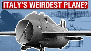 Italy’s Bizarre Flying Barrel | The Stipa Caproni [Aircraft Overview #55]