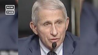 Fauci Calls Senator 'a Moron' #Shorts