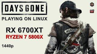 Days Gone | 1440p | RX 6700XT + Ryzen 7 5800X | Linux Gaming