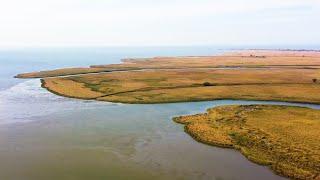 Don river is flowing to Azov Sea.