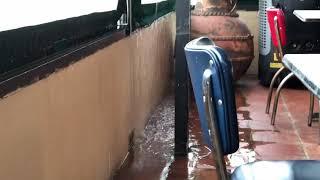 Raining Inside a Houston, TX Restaurant