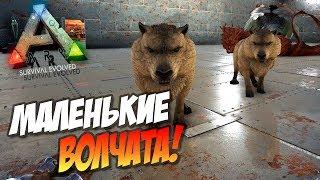  Ark: Survival Evolved - 9.27 - Ragnarok! Маленькие Волчата!