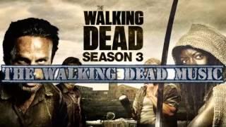 The Walking Dead Soundtrack "Jamie N Commons-Lead Me Home"