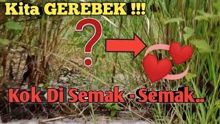 VIRALKAN, NGINTIP YANG LAGI DI SEMAK - SEMAK || LANGSUNG DI GEREBEK