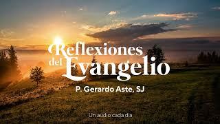 Reflexiones del Evangelio | Jn 20,2-8 (san Juan) - 27 de diciembre de 2024