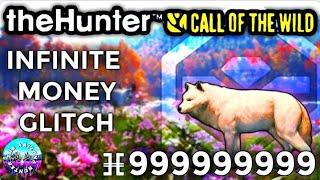 INFINITE MONEY & XP WOLF GLITCH (2025) | thehunter Call of the Wild