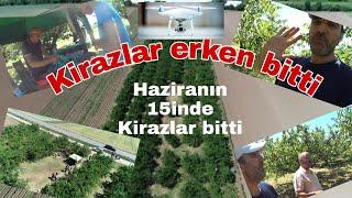 Kiraz toplamaya gittik #kiraz  #kirschen #drone  #iha