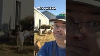 dad jokes #animals #comedy #happy #dadjokes #funny #farmlife #goat #wife #chicken #marriage