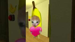 Bananacat Chooses Food #gmod 