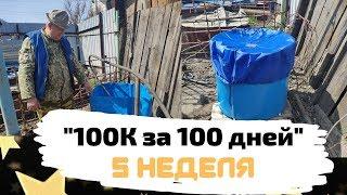 "100ТЫСЯЧ за 100дней"- 5 неделя , Совершаевы семья и бизнес. Начинали с ноля)))