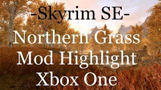 Skyrim SE- Northern Grass- Xbox One