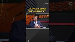 #Лукашенко для сербов — герой и легенда, сербы любят белорусов #shortvideo #беларусь #онт