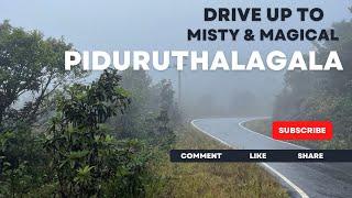 Misty and Magical | Driving up Piduruthalagala Mountain