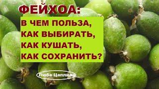 Фейхоа: в чем польза,как выбирать, как кушать и как сохранить?