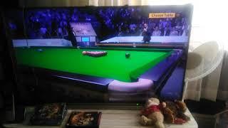 Watching snooker on BBC two