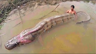 Fisherman Caught A River Monster, The Ending Will Shock You..!!!