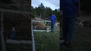 evening watering in the garden / ThisisJokyl989 is live!