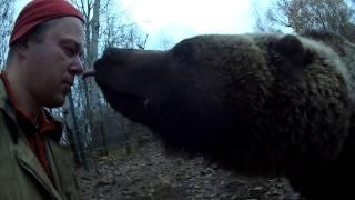 Авиамедведь Мансур очень любит семечки. (28.10.2018)